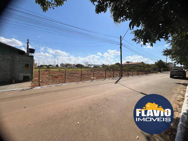 Área para Venda em Bela Vista de Goiás - 5